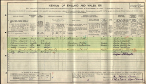 1911 census original image HR